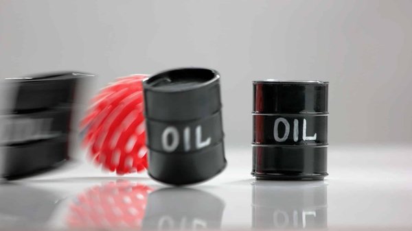 Agir durablement : limiter le gaspillage alimentaire pour économiser